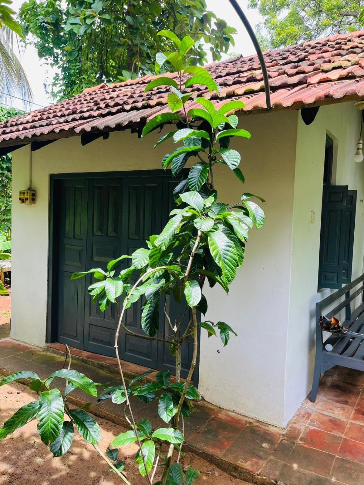 Agora Villa By Esperanza Tangalle Exterior foto